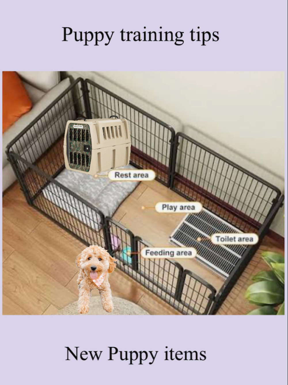 Dog training tips & new puppy items