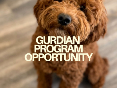 Guardian home opportunity!